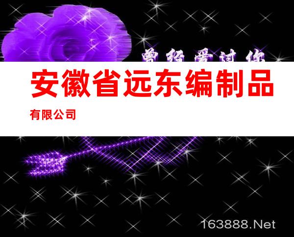 安徽省远东编制品有限公司